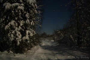 Пригород - ночной Северодвинск