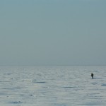 Одиночество на Белом море