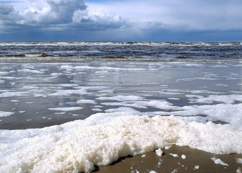 Морская пена