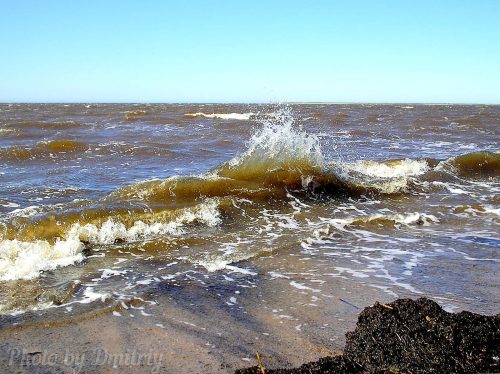 Волнение белого моря