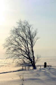 Могила на берегу Белого моря - зима 2013