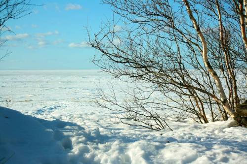 Белое море - зима 2015