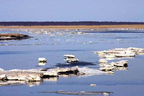 тает лед в заливе "Крестовая" - весна 2019