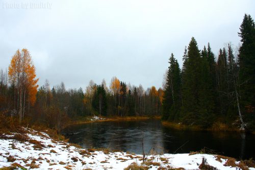 Первый снег на реке