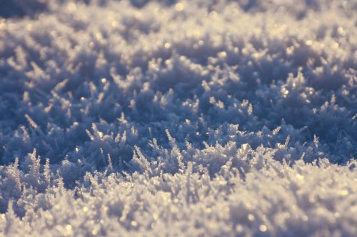 Снежный ковер - зима 2020