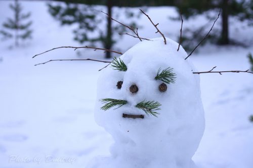 Серьезный снеговик