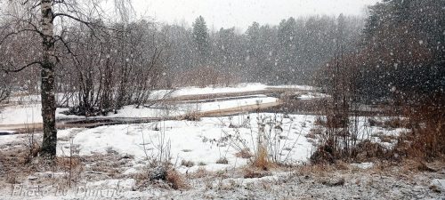 река Ширшема