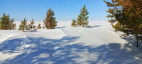 Весенняя идиллия