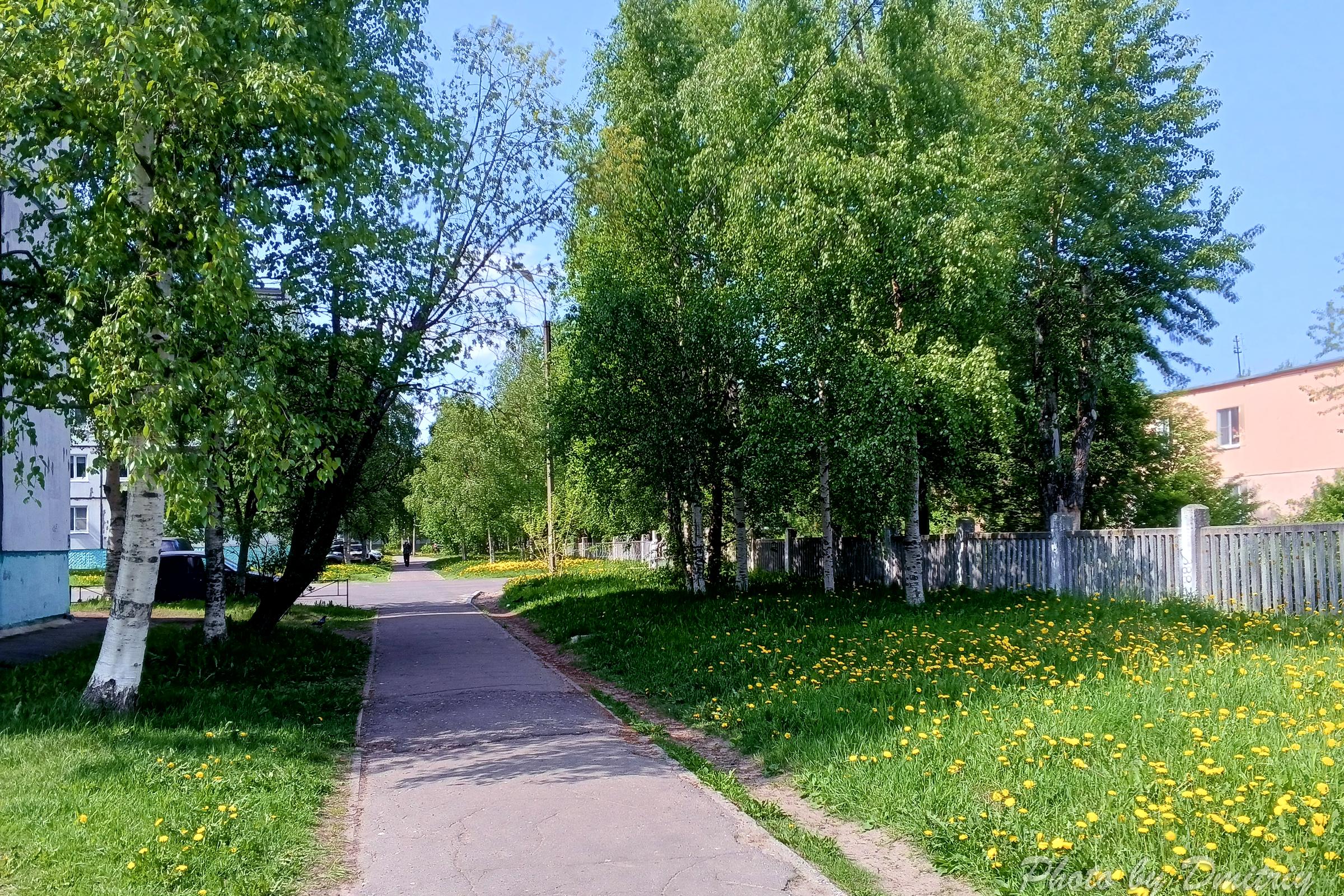 Дворами к морю