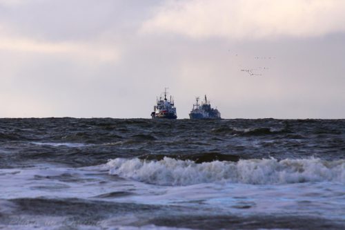 Два корабля. Осень 2025