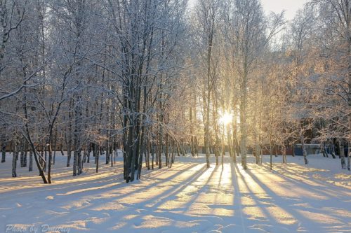 Солнечный двор