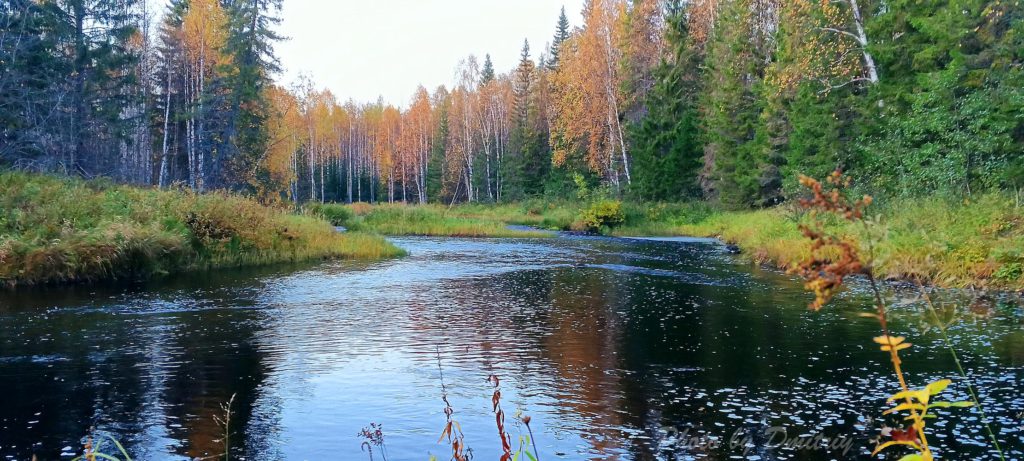 Осенняя река