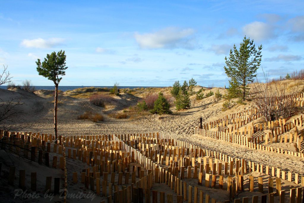 восстановление дюн