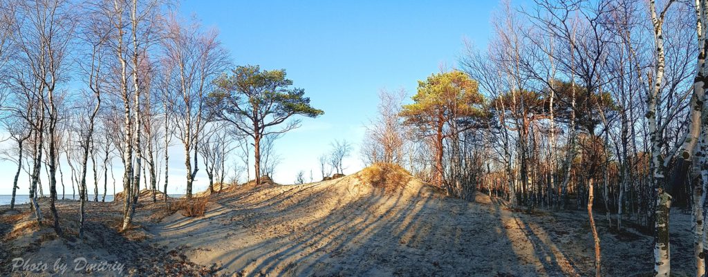 панорама дюн